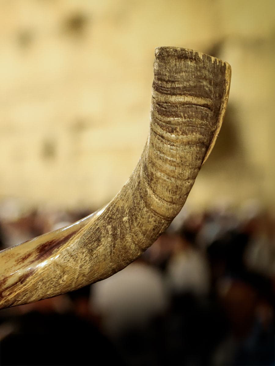 Yom-Kippur-Mobile Header Image